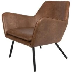 Puur Berg Fauteuil PU-leer - Lederlook - Bruin