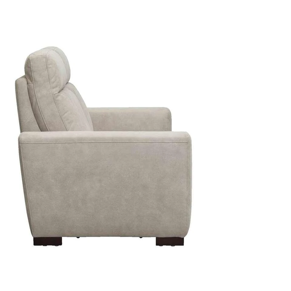 Bank James 2-zits - Lederlook - Zilvergrijs 4 Bank James 2-zits - Lederlook - Zilvergrijs - Afbeelding 4