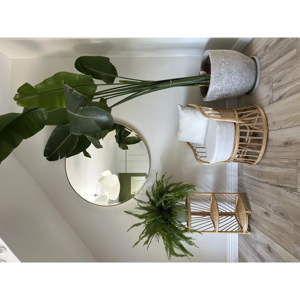 Fauteuil Van Rotan 3 Fauteuil Van Rotan - Afbeelding 3