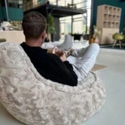 Parya Stoel Zitzak Bont - Zitzakfauteuil - Woonkamerzitzak - Beige - Senior -Leenbakker Winkel 3775b1b70cb5458589d6e50dbde17254