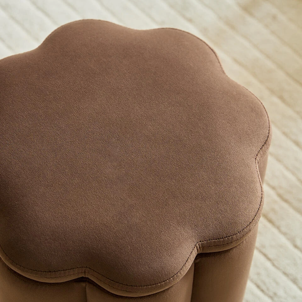 Fluweel Bruine Salonpoef Met Opbergruimte 8 Fluweel Bruine Salonpoef Met Opbergruimte - Afbeelding 8