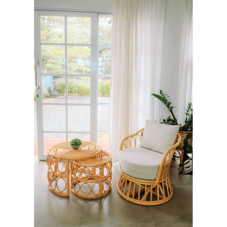 Fauteuil Van Rotan 6 Fauteuil Van Rotan - Afbeelding 6