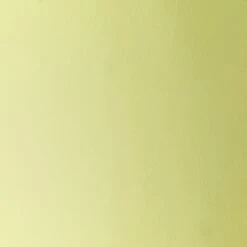 SAKAMI - Bijzettafel - Lichtgroen - MDF -Leenbakker Winkel 6a52aaf87d9a4affa4d1f8b1d3a73358