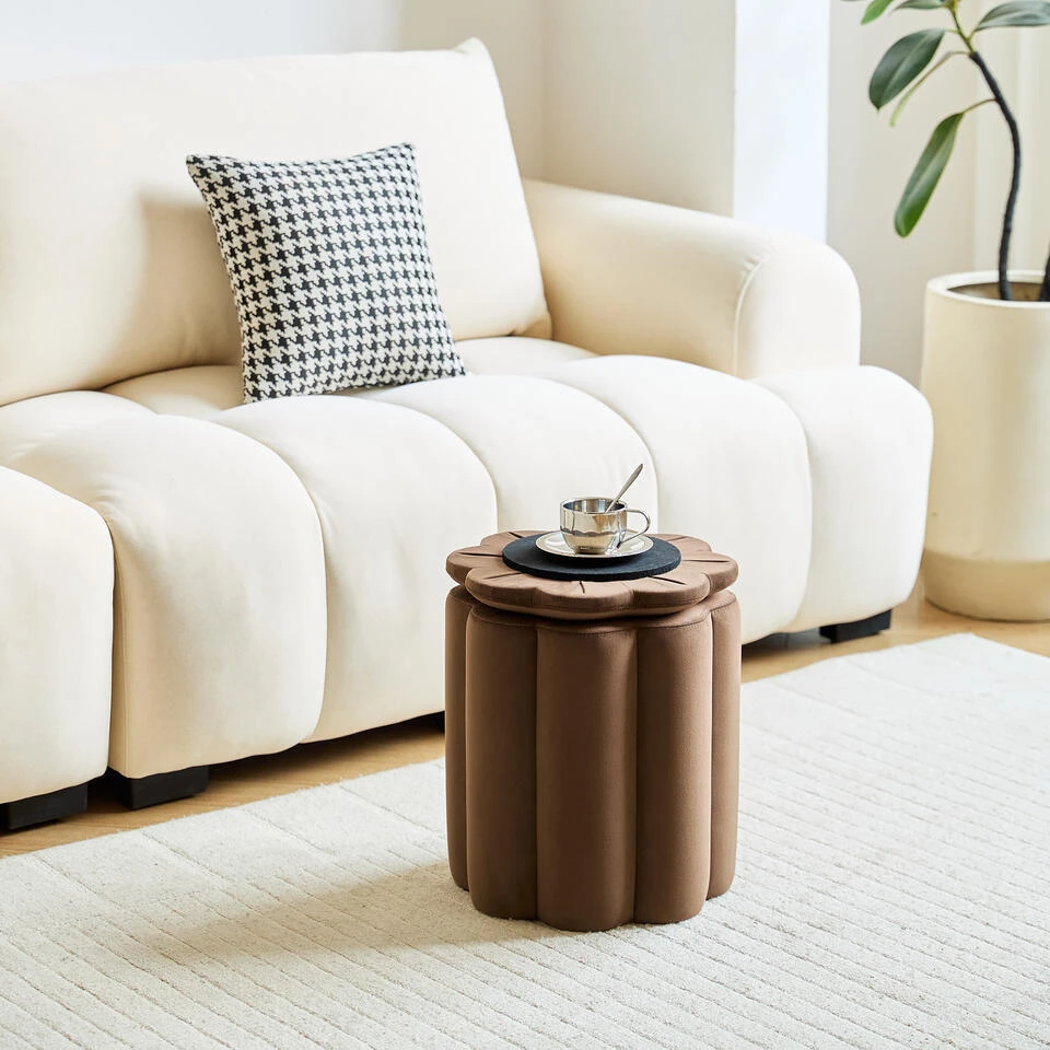 Fluweel Bruine Salonpoef Met Opbergruimte 4 Fluweel Bruine Salonpoef Met Opbergruimte - Afbeelding 4