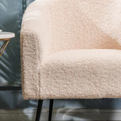 Salonstoel Van Metaal En Witte Lussen -Leenbakker Winkel ec4520f877594beca22c8a0a354af476